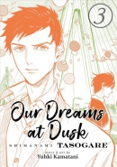 Our dreams at dusk. Book 3