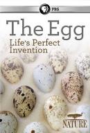 The egg [DVD] : life's perfect invention