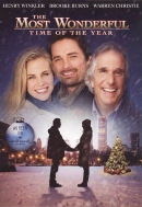 The most wonderful time of the year [DVD]