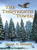 The Thirteenth Tower