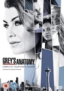 Grey's anatomy [DVD]. Season 14