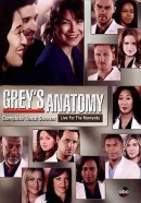Grey's anatomy [DVD]. Season 10 : live for the moments