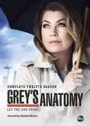 Grey's anatomy [DVD]. Season 12