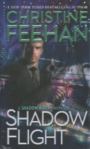 Shadow flight