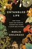 Entangled Life : How Fungi Make Our Worlds, Change Our Minds & Shape Our Futures 