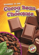 Cocoa bean to chocolate
