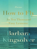 How to fly [eBook] : (in ten thousand easy lessons)