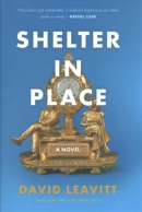 Shelter in place : a novel