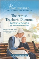 The Amish teacher's dilemma [large print]