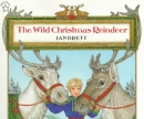 The wild Christmas reindeer