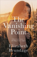 The vanishing point : a novel