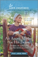 An Amish mother for his twins [large print]