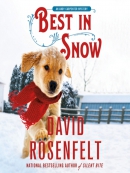 Best in snow [eAudio]