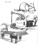 Johnston local history