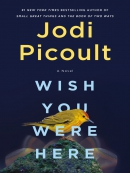 Wish you were here [eBook] : a novel