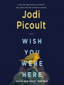 Wish you were here  [eAudio] : a novel