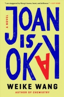 Joan is okay : a novel