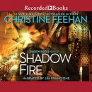 Shadow fire [CD book]