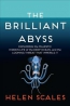 The Brilliant Abyss : Exploring The Majestic Hidden Life Of The Deep Ocean And The Looming Threat That Imperils It 