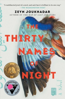 The Thirty Names Of Night : A Novel 