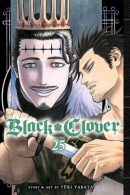 Black Clover, Vol. 25: Volume 25
