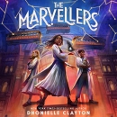 The marvellers [Playaway]