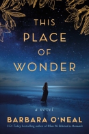 This place of wonder : a novel