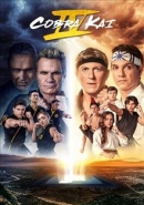 Cobra Kai [DVD]. Season 4