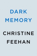 Dark memory