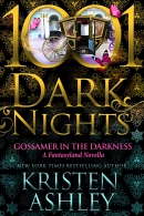 Gossamer in the darkness : a fantasyland novella