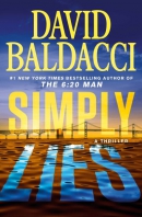 Simply lies [large print]