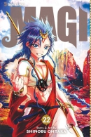 Magi : the labyrinth of magic. Book 22