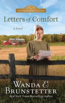 Letters of comfort [large print]