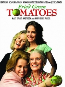 Fried green tomatoes [DVD]
