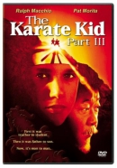 The karate kid [DVD]. Part III