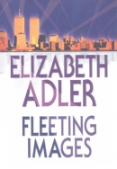 Fleeting images [large print]