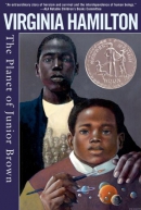 The planet of Junior Brown [downloadable ebook]