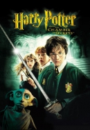 Harry Potter and the chamber of secrets [DVD]