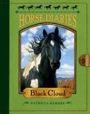Black Cloud