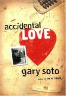 Accidental love [downloadable ebook]