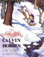 The Authoritative Calvin And Hobbes : A Calvin And Hobbes Treasury 