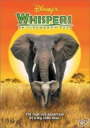 Whispers [DVD] : an elephant's tale